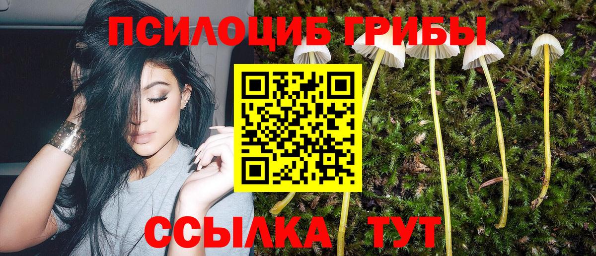 Псилоцибиновые грибы прущие грибы Узловая